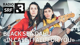 Black Sea Dahu «In Case I Fall For You» – SRF 3 Live Session [upl. by Lindgren]