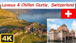 Magical LAVAUX  The Swiss Wine Terraces amp Swiss Castle Tour Chateau de Chillon Montreux Switzerland [upl. by Arand]