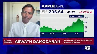 Berkshire was too concentrated in Apple says NYU’s Aswath Damodaran [upl. by Alegnat453]