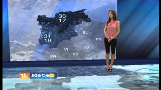 le previsioni meteo [upl. by Ursuline]