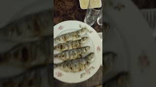 Muhteşem rakı sofrası rakı içenler öldü de su içen ölmedi mi shortvideo [upl. by Eradis]