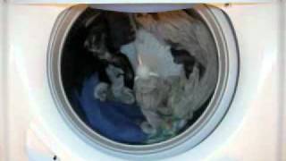 2010 Whirlpool Washer Capacity Cabrio Full Wash Video Normal Playback [upl. by Pate]