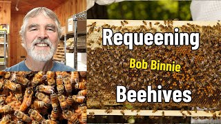 Beekeeping Segment  Requeening Hives WITH Bob Binnie [upl. by Snej]