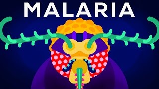 Genetic Engineering and Diseases – Gene Drive amp Malaria [upl. by Maisey]