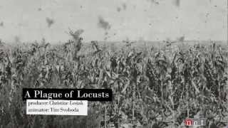 A Plague of Locusts  Nebraska Stories [upl. by Ettenyl458]