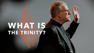 What Is the Trinity  Bishop Barrons Sunday Sermons [upl. by Mano]