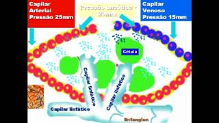 Godoy method lymphatic drainage interstitial space [upl. by Whitnell]