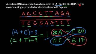 Chargaffs rule explained [upl. by Nuahsyt767]