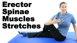 Erector Spinae Muscles Stretches  Ask Doctor Jo [upl. by Wendie629]