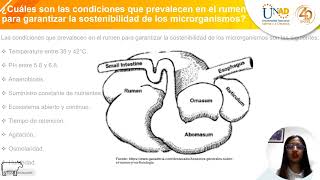 Nutrición de Rumiantes Tarea 05 María José O Londoño [upl. by Ardell]