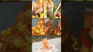 उगा हे सूरज देव भेल भिनसरवा🙏 Chhathpuja special shortsfeedtrending chhathviralvideotyshortsछठ✅ [upl. by Tuhn777]