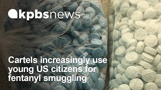 Cartels increasingly use young US citizens for fentanyl smuggling [upl. by Salakcin]