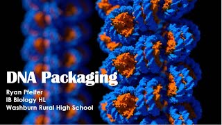 DNA Packaging [upl. by Elton]