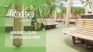 Marmoleum with Topshield pro surface finish  Forbo Flooring Systems [upl. by Auqinehs]