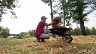 Muskoka cottage autumn clean up [upl. by Mena257]