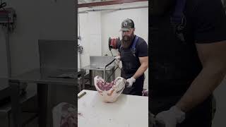 🔪 Splitting the hind quarter on a deer 🦌 shorts deer venison butcher [upl. by Rexfourd]