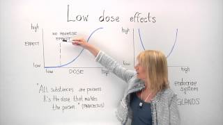 Lowdose effects in chemical risk assessment [upl. by Yesnyl]