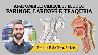 Anatomia de Cabeça e Pescoço – Faringe Laringe e Traquéia [upl. by Ennayllek610]