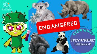 Endangered Animals  KS1 Science  STEM and Beyond [upl. by Noynek]