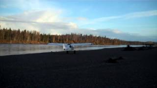 Alaska Bushflying Aeronca Champ 7GC Takeoff on a Gravelbar on the Yentna River [upl. by Gerrald163]