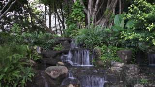 Som de Cascata1 Hora  Ótimo Para DormirRelaxarEstudarMeditar [upl. by Aynam303]