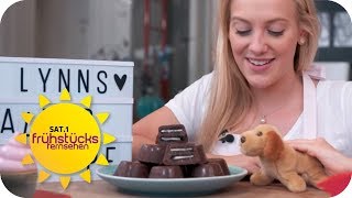 Kalter Hund in Muffinförmchen Der optimale Party Snack   SAT1 Frühstücksfernsehen  TV [upl. by Joelynn144]