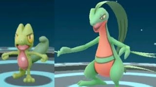 I evolve my treecko into grovyle [upl. by Piotr775]