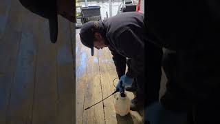 Applying wood sealer to the trailer deck [upl. by Ylsel]