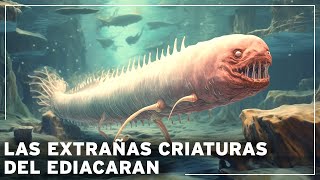 ¡Antes de los dinosaurios los misterios de la era perdida de las criaturas ediacaranas Documental [upl. by Fabiola]