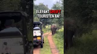 Elefant greift Touristen an [upl. by Scoles647]