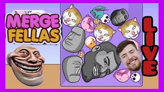 MERGE FELLAS ao vivo LIVE RELÂMPAGO 🌩️ MERGEFELLAS LIVESHORTS [upl. by Willcox956]