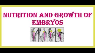 Nutrition and Growth of Embryos [upl. by Attaynik]