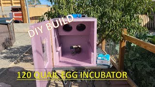 DIY 120 QUAIL EGG INCUBATOR BUILD [upl. by Aneele164]