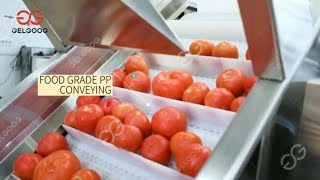 Small Scale Tomato Sauce Production Line From A to Z [upl. by Bork]