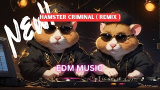 HAMSTER CRIMINAL EDM REMIX  HAMSTER COMBAT MUSIC [upl. by Ynnal409]