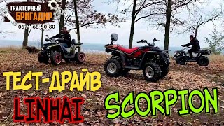 ТЕСТДРАЙВ Квадроциклов LINHAI Z180 LINHAI M150 SCORPION 200CC🔥 [upl. by Barnes]