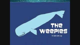 The Weepies  Antarctica [upl. by Owain]