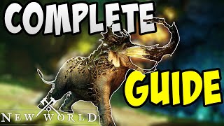 Complete Savage Divide Guide  Boss Mechanics and More [upl. by Sonnnie]