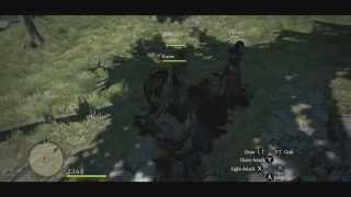 Dragons Dogma Dark Arisen How To Kill A Chimera HD [upl. by Yelhsa]