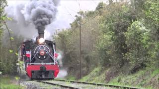 Tren de la Araucania y El ValdivianoGuerra de Silbatos [upl. by Jacobsen400]