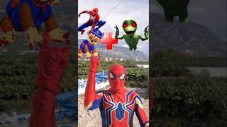 Spiderman and Chase Paw Patrol EXE  Dame Tu Cosita EXE  Marvel Animation [upl. by Janeva]