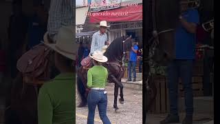 ejido caballos jalcocotan nayarit 2024 [upl. by Rochette]