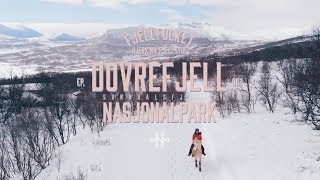 Dovrefjell Nasjonalpark  Fjellfolket  S01E02 [upl. by Eedeed]