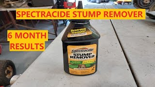 Spectracide Stump Remover  Decomposition Accelerator 6 Month Review [upl. by Hosbein]