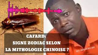 KABORÉ DES ZINZINS DE LART  KO TU ES UN CAFARD SELON LA MYTHOLOGIE CHINOISE [upl. by Assille]