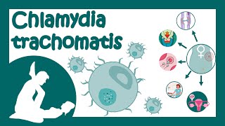 Chlamydia trachomatis  Chlamydial infection  Sexually transmitted disease  Treatment of Chlamydia [upl. by Ycart571]