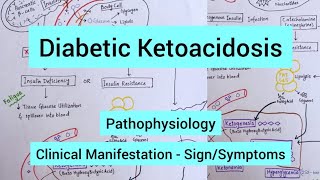 Diabetes Ketoacidosis  Pathophysiology Signs amp Symptoms [upl. by Llednek]