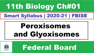 Peroxisomes and Glyoxysomes Class 11 Biology Federal Board Ilmi Stars Academy [upl. by Philips]