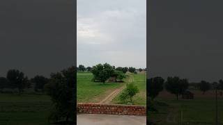 Khet me aaj to 😱🤯youtubeshorts rajasthan farming kisan youtube shorts farmer [upl. by Enorahs649]