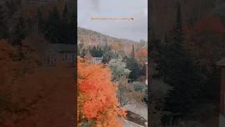 Views from MontTremblant trip quebec monttremblant fall cozy fallvibes [upl. by Ahsiuqat309]